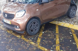 Smart ForFour FORFOURFASTBACK